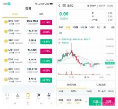 链上交易策略软件开发